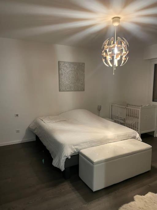 Appartement Cosy Strasbourg 希尔蒂盖姆 外观 照片